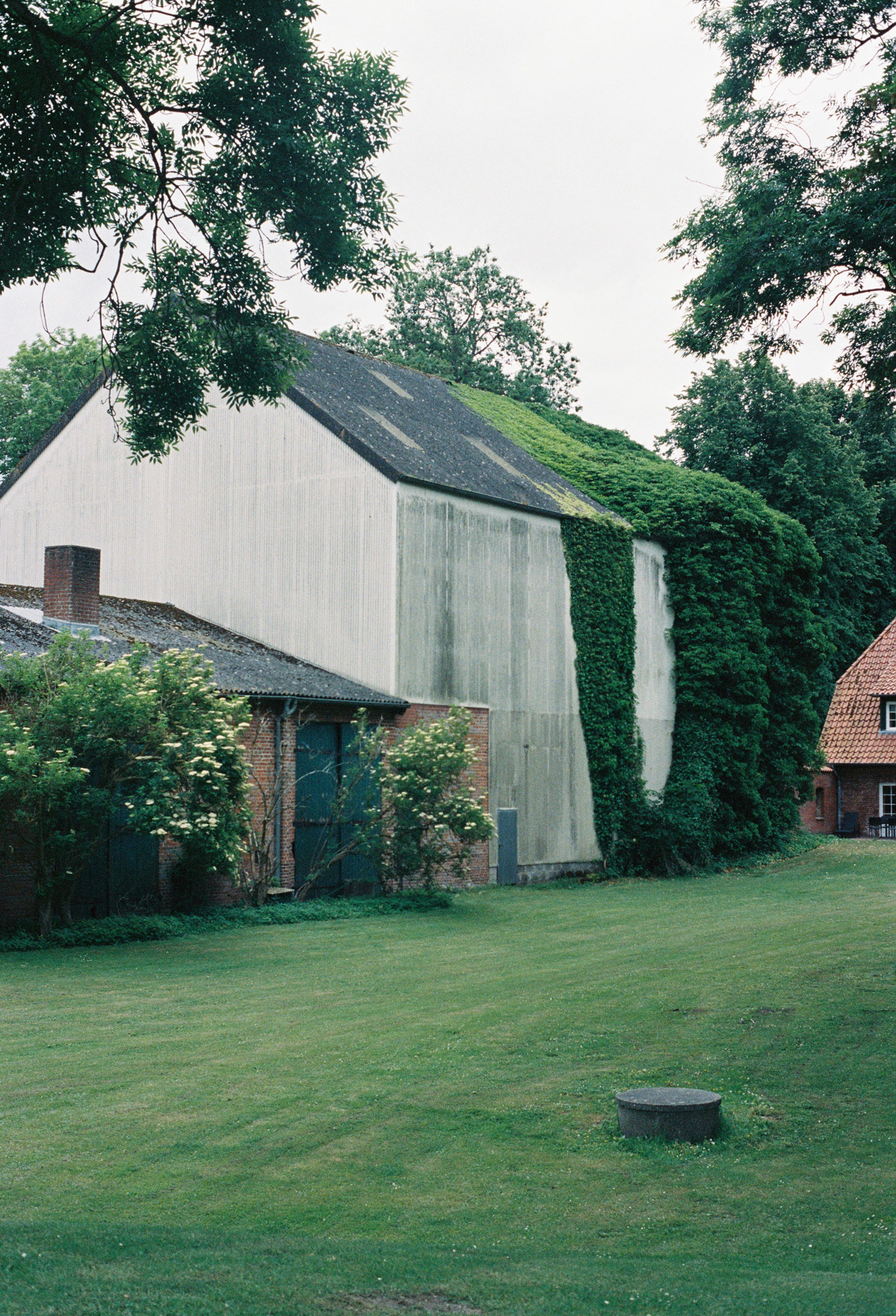 Haus mit Pflanzen an der Fassade